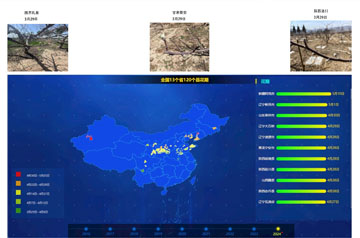 大部分產區(qū)蘋果花期較常年持平或偏晚 甘肅山東等產區(qū)需防范花期凍害風險