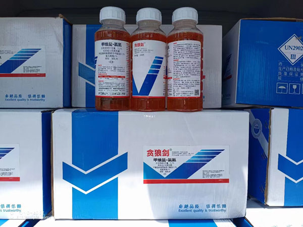 細(xì)菌生物、農(nóng)藥施用前要注意天氣