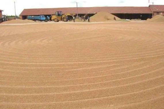 連綿陰雨天小麥?zhǔn)崭詈笤趺捶姥?、防霉?></div>
            </a></li>
          
          <li id=