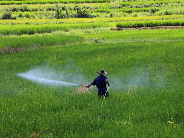 農(nóng)作物種植病蟲(chóng)害防治技術(shù)大全